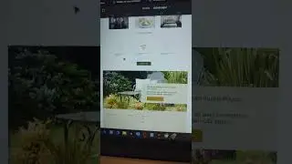 Propuesta de sitio web para Hotel. Diseñado en Figma y de ahí al desarrollo. #diseñoweb #website