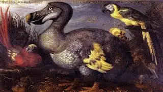 Bird Songs We Will Never Hear