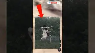 ghost found on google earth true strue horror storiesscary s 