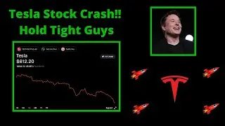Tesla Stock Crash!! Hold Tight Guys