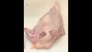 Making an Airline Breast of Chicken