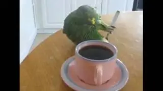 Las 13 imagenes graciosas para todos los amantes del cafe
