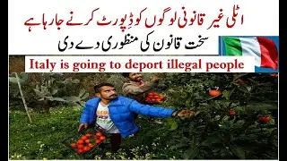 Italy is going to deport illegal people | Italy new law for illegal People 2020 | Tas Qureshi