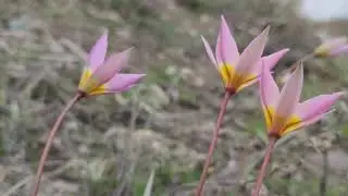 Велопоездка с ночёвкой, костром, купанием в горной речке и рыбалкой.