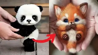 The Cutest Wild Baby Animals That Will Make You Go Aww