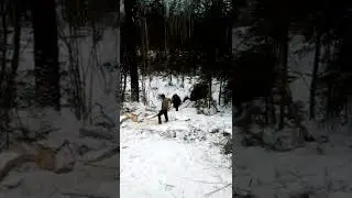 Трактор в болоте