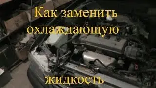 Как заменить охлаждающую жидкость