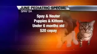 Low-Cost Pet Events & Adoptable Dogs On 