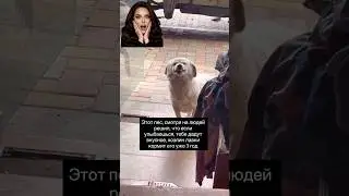 КАКОЙ ОН МИЛЫЙ😉