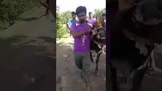 Love star avarampalayam melmanavoor vellore 632010