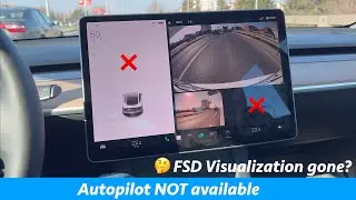 Tesla Autopilot not working (NO; FSD Visualization, Cruise Control, Sentry, ...)