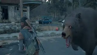 Days Gone - Bear BOSS Fight (Zombie Bear) - No Damage