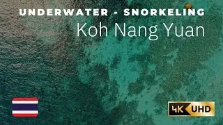 Snorkeling at Koh Nang Yuan  (Koh Tao), Thailand