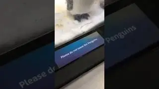 memes from internet