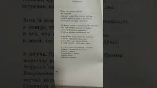 Лариса Васильева. Полдень. 