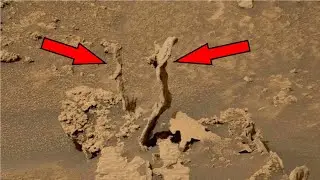 NASA's Mars Curiosity Rover Captured Strange Wild Spike Formations In The Gale Crater