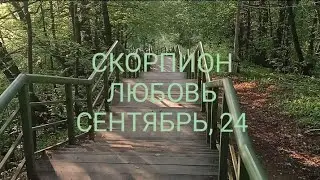 СКОРПИОН ЛЮБОВЬ СЕНТЯБРЬ 2024 года