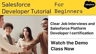 Salesforce Developer Tutorial for Beginners | PD1 Certification