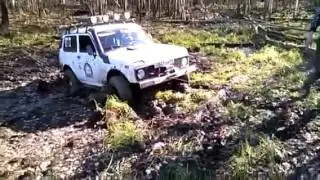 листопад 2015
