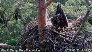 Uff, jak gorąco...