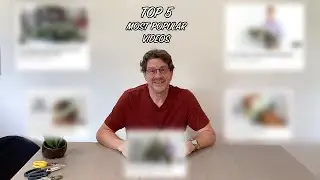 Our TOP 5 Most Popular Videos! - Flower Joos