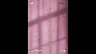 Baydenlo - WET (SLOWED)