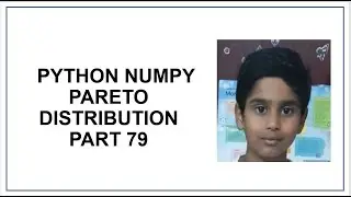 Python NumPy | Pareto Distribution | Pareto's law | Python Programming | Probability | tutorial  79