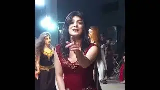 Dolphin Ayaan  New Hot dance 2022 | Dolphin Ayaan|