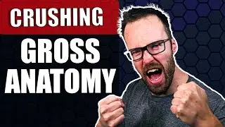 Gross Anatomy: Tips and Insight for How to do Better - What PT Students MUST Know