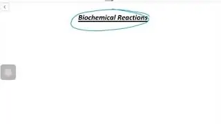 Biochemical Reactions: Microbiology Introduction