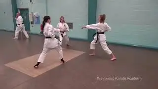 Westwood Class highlights