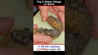 Top 5 Oldest Things on Earth