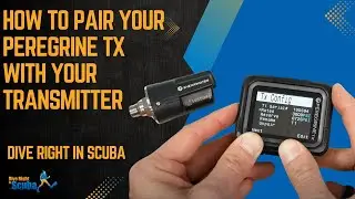 How to Pair Your Peregrine TX with Your Transmitter