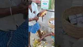 Palm Fruit Skill Cut