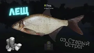 Русская рыбалка 4 (РР4) оз. Старый Острог ЛЕЩ  Russian fishing 4 Old Burg BREAM