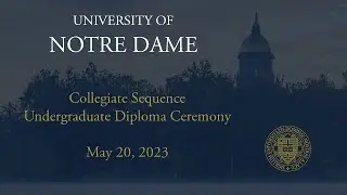 Collegiate Sequence (Science Business, Science Computing, and Science Education) Undergraduate