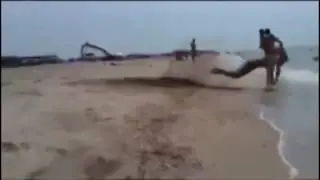 Прикол на пляже
