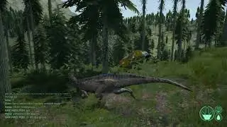 It didn't end well... (sucho v. rex)