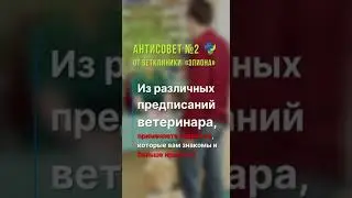 Антисовет 2 от ветклиники "Эпиона"
