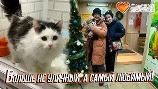 Больше не уличный, а самый любимый! | Читос