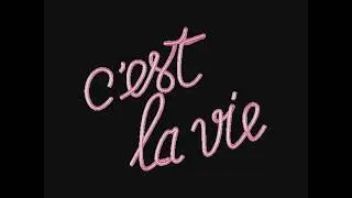Cover : Sergey von Wysocki  ( C'est la vie - Disco Version / Tyros 5 )