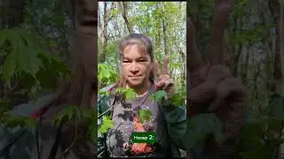 Проверьте готовность к ДВИ по биологии в МГУ! Консультация от члена приемной комиссии МГУ