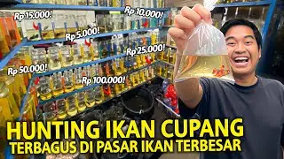 HUNTING BETTA FISH TERBAGUS DIPASAR TERBESAR BANDUNG! BEGINI KONDISINYA SEKARANG 2025!