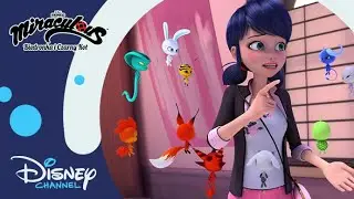 🥺 Operacja: Kwami Smutne Oczka | Miraculous: Biedronka i Czarny Kot | Disney Channel Polska