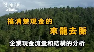 搞清楚現金的來龍去脈，才是企業分析的核心！企業現金流量和結構的分析