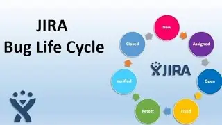 Bug Life Cycle 