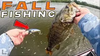 Bass Fishing WITHOUT Electronics! How To Read The Water And Catch Fish!