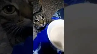 Мам, чё чай пьёшь, тут пиво не продают?🤦🏻‍♀️😂