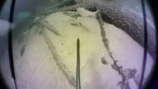 Любителям рыбалки