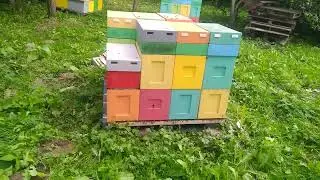 Первый раз такое вижу!